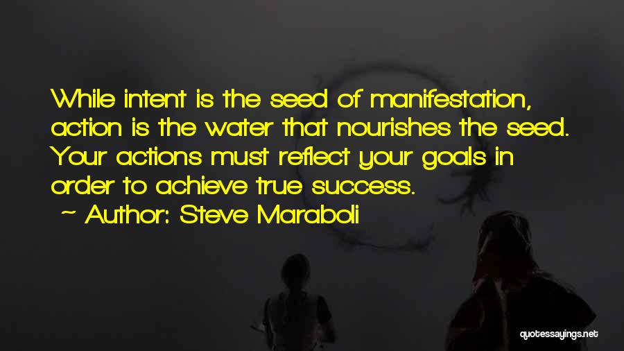 Motivation To Success Quotes By Steve Maraboli