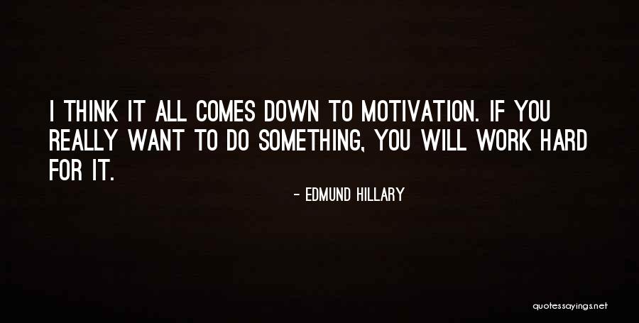 Motivation To Work Quotes By Edmund Hillary