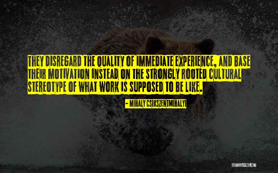 Motivation To Work Quotes By Mihaly Csikszentmihalyi