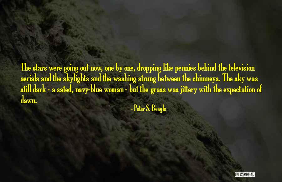 Motivational Dabo Quotes By Peter S. Beagle Motivational Dabo Quotes By Peter S. Beagle