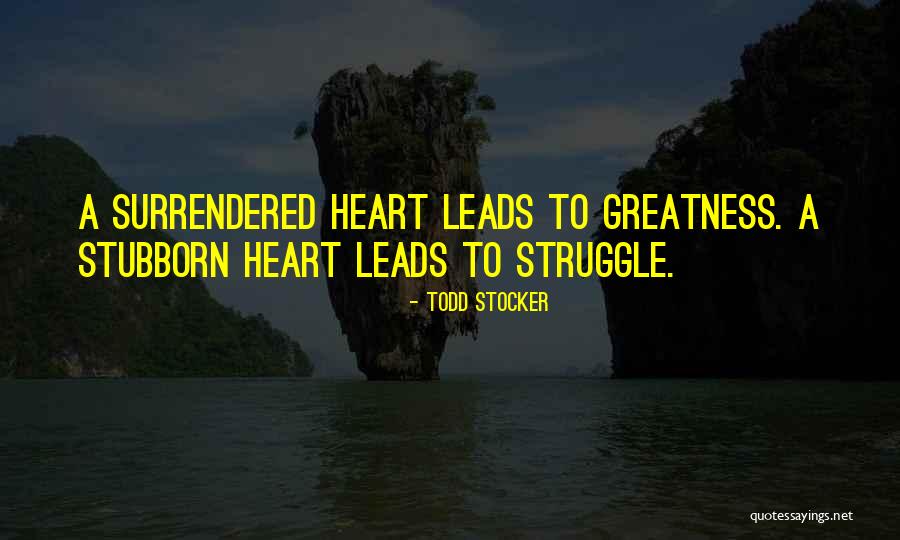 Motivational Leadership Quotes By Todd Stocker