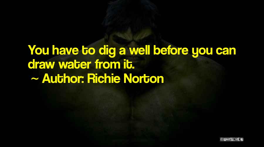 Motivational Networking Quotes By Richie Norton