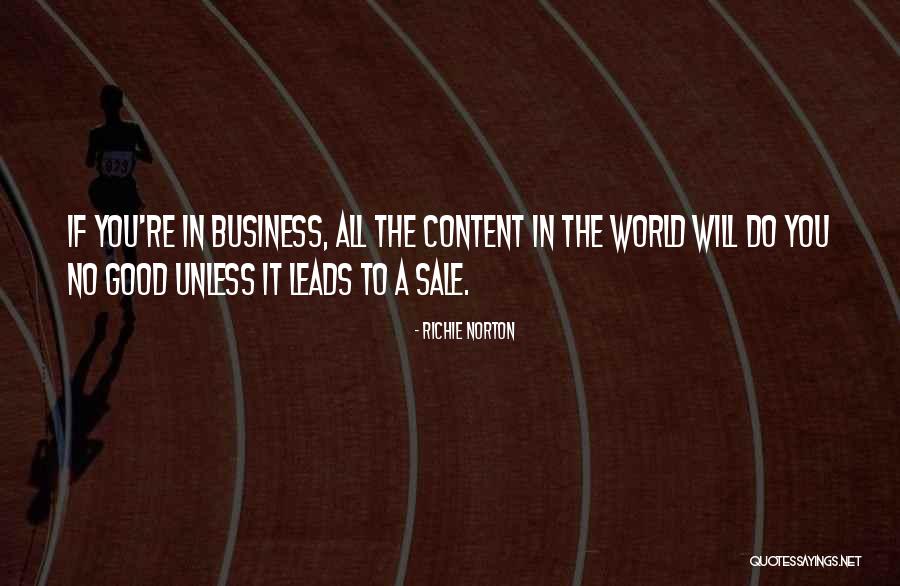 Motivational One Liner Quotes By Richie Norton Motivational One Liner Quotes By Richie Norton