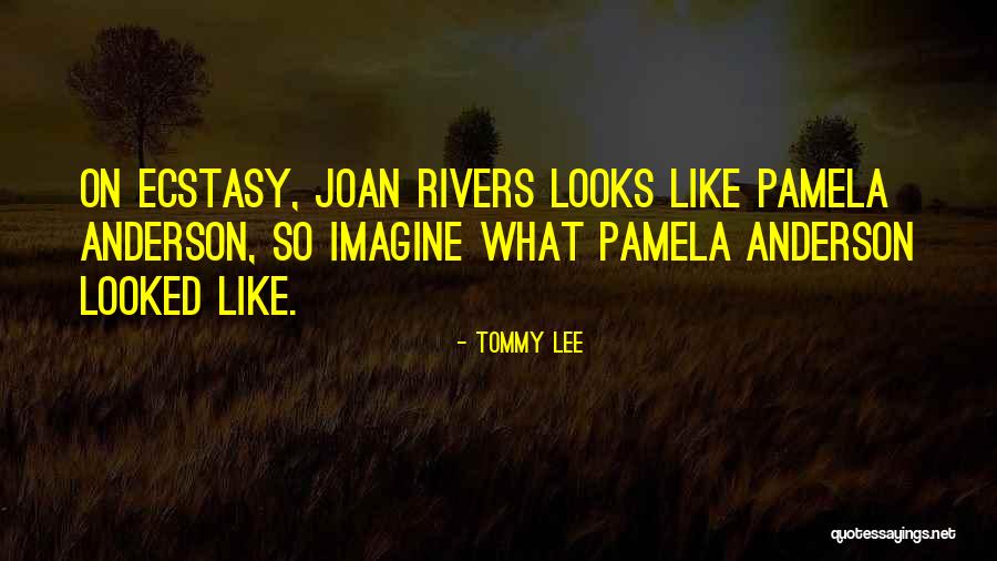 Motley Quotes By Tommy Lee