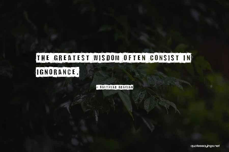 Motokuni Takaoka Quotes By Baltasar Gracian Motokuni Takaoka Quotes By Baltasar Gracian