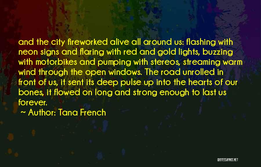 Motorbikes Quotes By Tana French