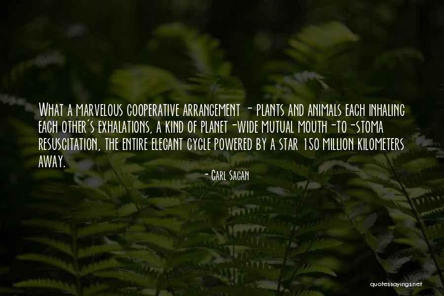 Motorways Of The Sea Quotes By Carl Sagan Motorways Of The Sea Quotes By Carl Sagan