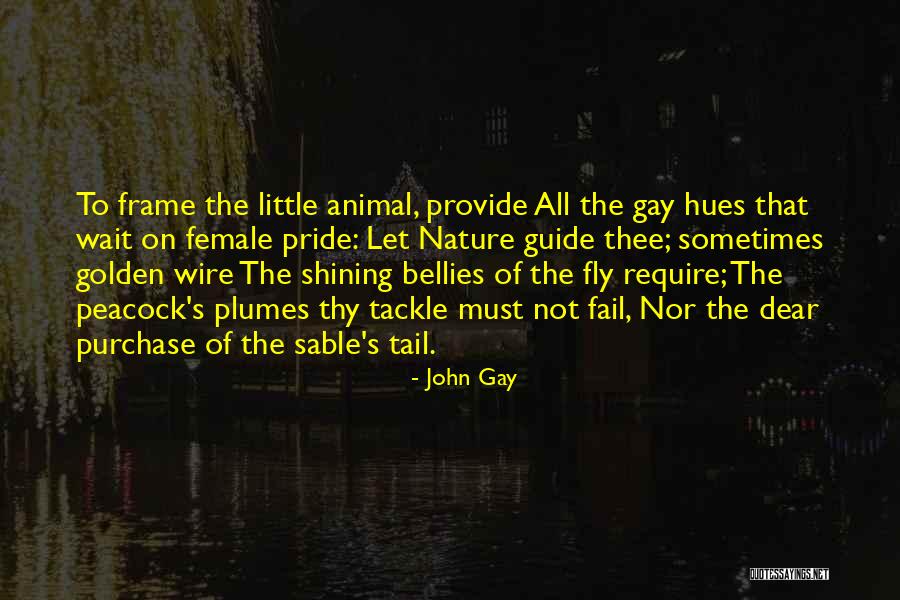 Motreanu90 Quotes By John Gay Motreanu90 Quotes By John Gay