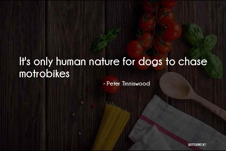 Motrobikes Quotes By Peter Tinniswood Motrobikes Quotes By Peter Tinniswood