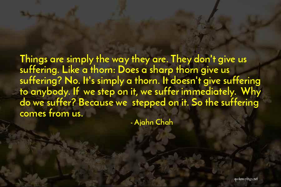 Mottar Rugs Quotes By Ajahn Chah Mottar Rugs Quotes By Ajahn Chah