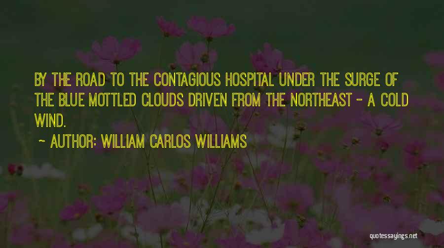 Mottled Quotes By William Carlos Williams