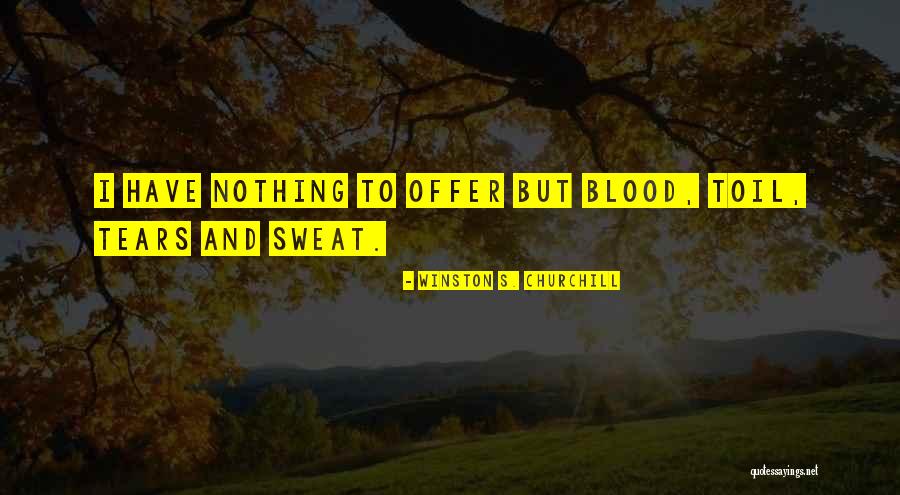 Mottura Locks Quotes By Winston S. Churchill