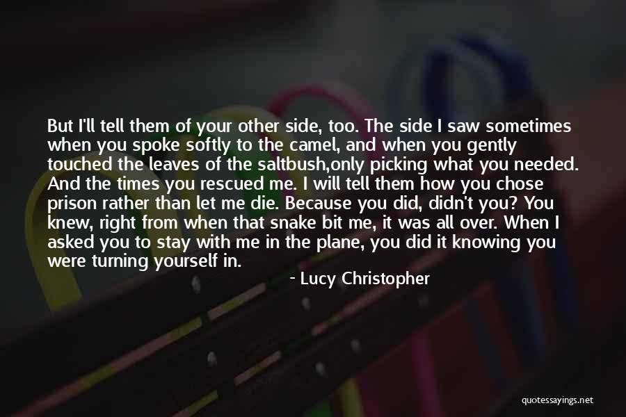 Moufflette Quotes By Lucy Christopher Moufflette Quotes By Lucy Christopher
