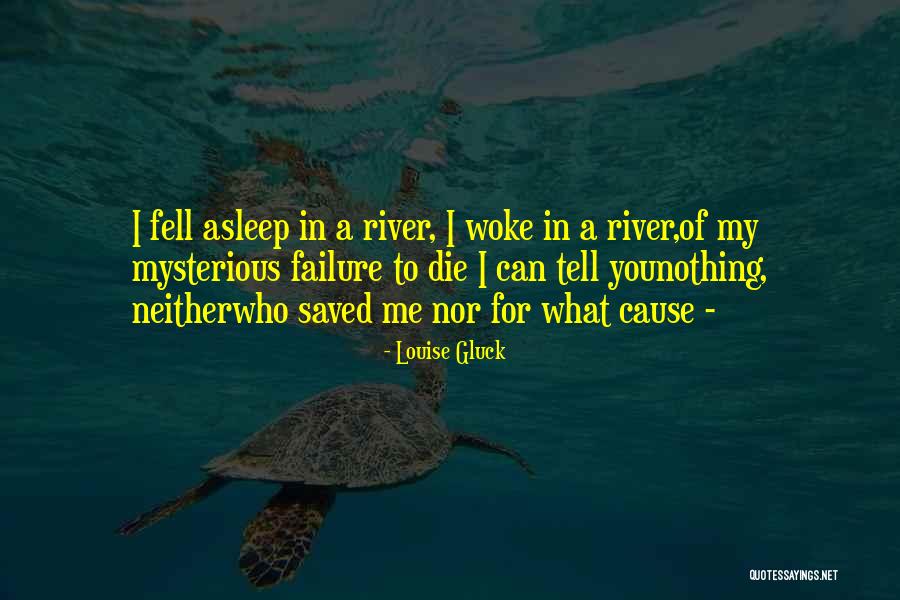 Mouhamadou Diaw Quotes By Louise Gluck Mouhamadou Diaw Quotes By Louise Gluck