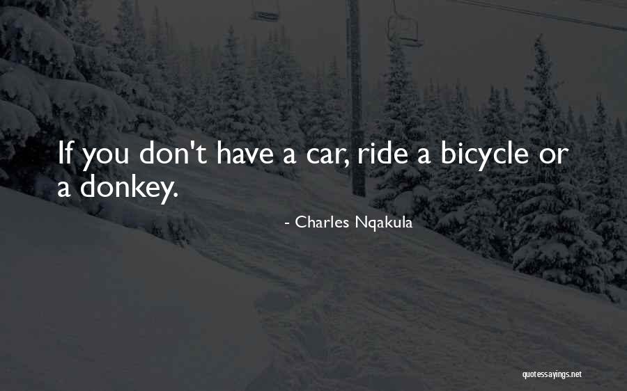 Moulage Kit Quotes By Charles Nqakula Moulage Kit Quotes By Charles Nqakula