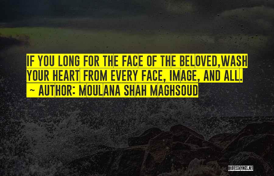 Moulana Shah Maghsoud Quotes 392293