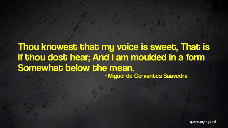 Moulded Quotes By Miguel De Cervantes Saavedra Moulded Quotes By Miguel De Cervantes Saavedra