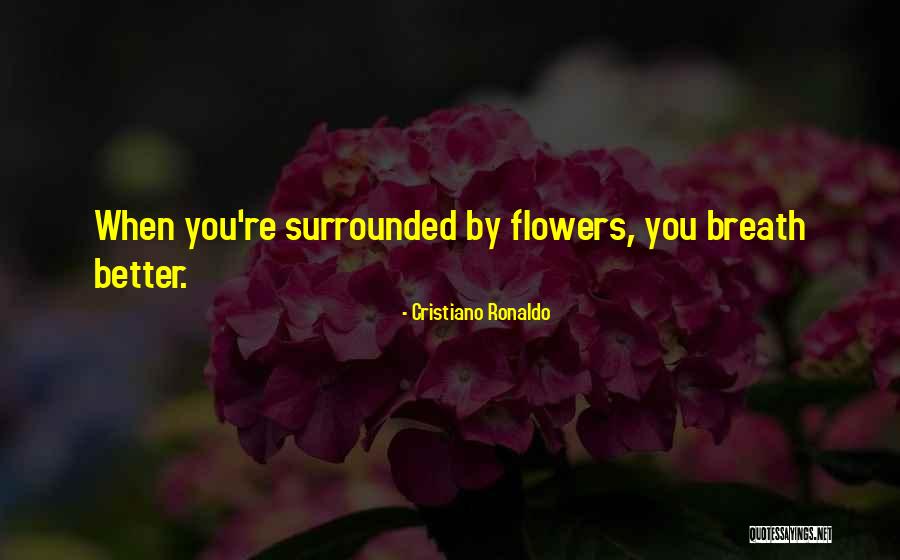 Moulinie Peche Quotes By Cristiano Ronaldo