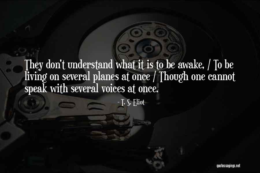 Moulinie Peche Quotes By T. S. Eliot