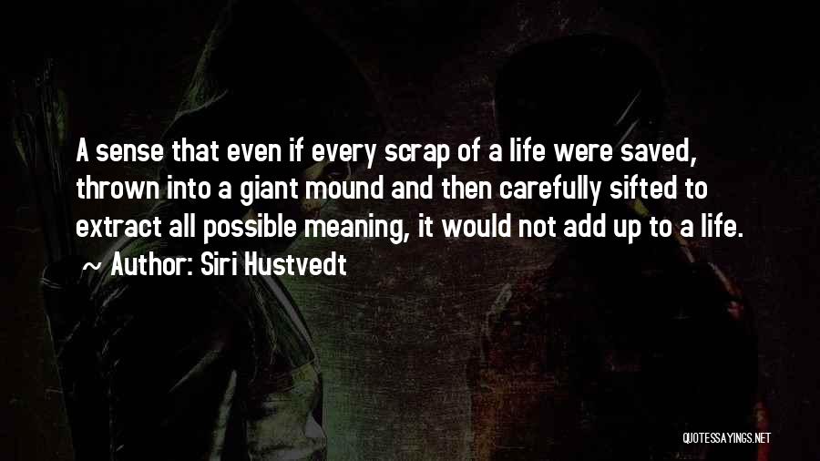 Mound Quotes By Siri Hustvedt