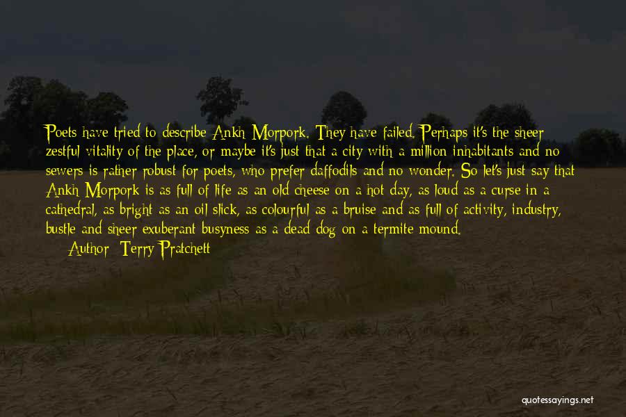 Mound Quotes By Terry Pratchett