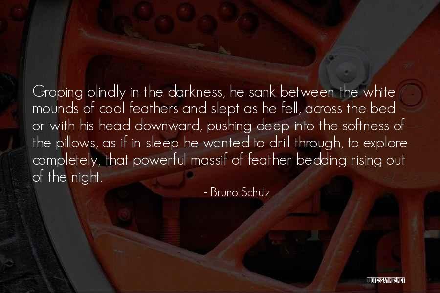 Mounds Quotes By Bruno Schulz