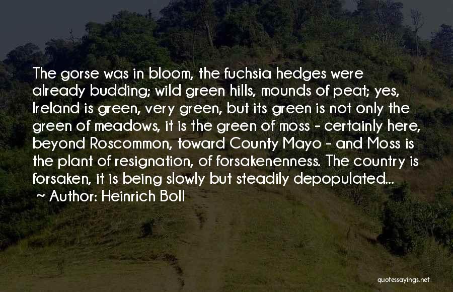 Mounds Quotes By Heinrich Boll