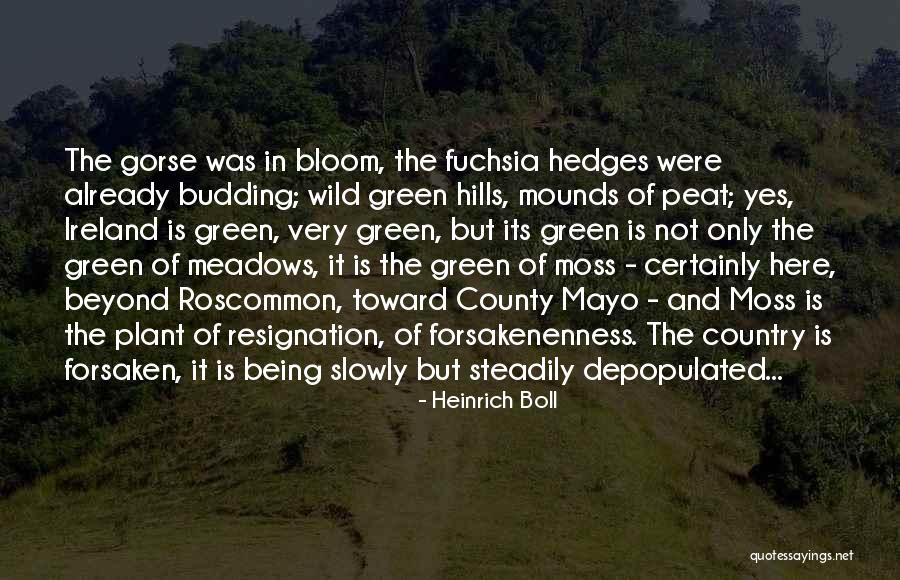 Mounds Quotes By Heinrich Boll