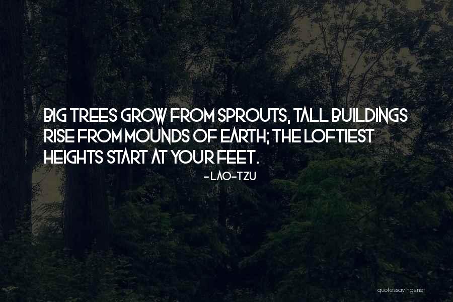 Mounds Quotes By Lao-Tzu