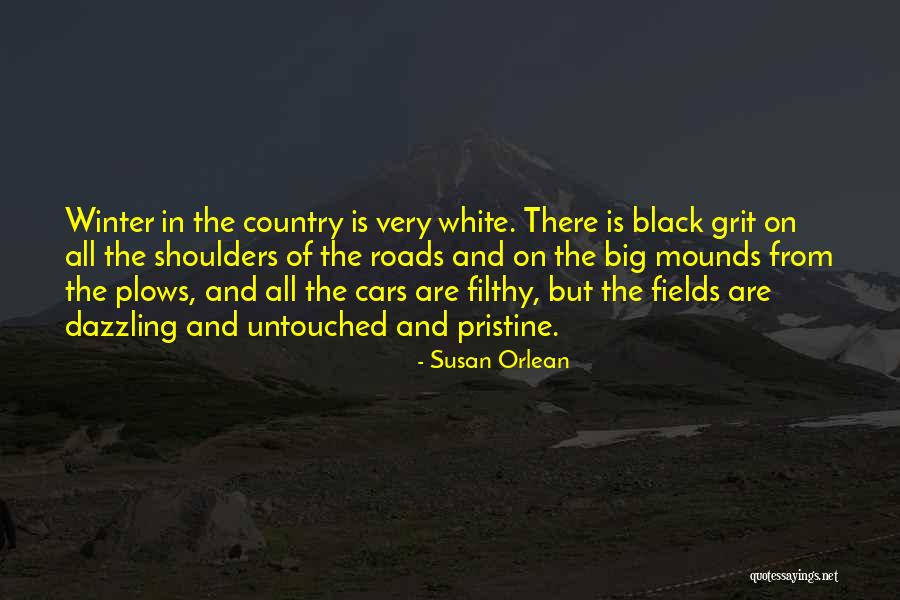 Mounds Quotes By Susan Orlean