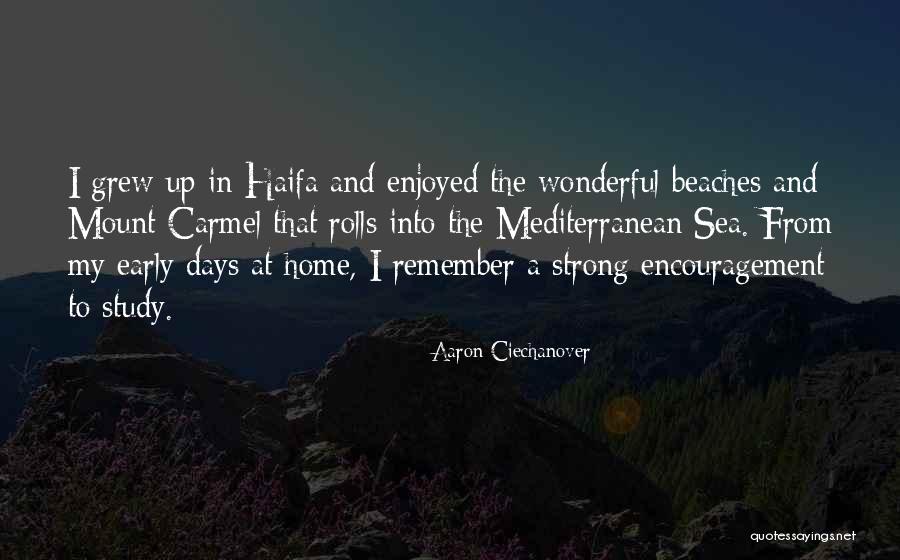 Mount Carmel Quotes By Aaron Ciechanover Mount Carmel Quotes By Aaron Ciechanover