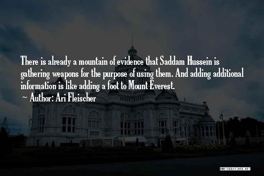 Mount Everest Quotes By Ari Fleischer
