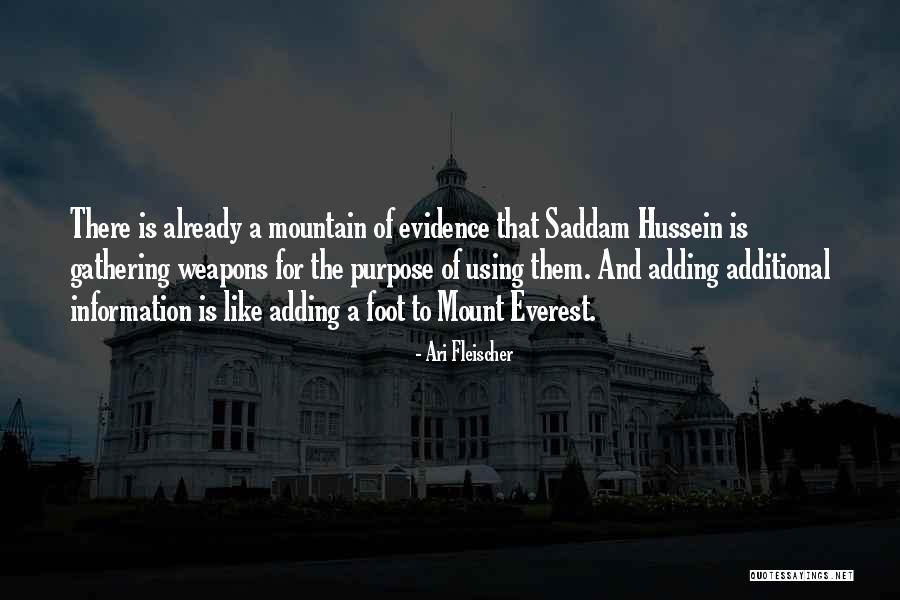 Mount Everest Quotes By Ari Fleischer Mount Everest Quotes By Ari Fleischer