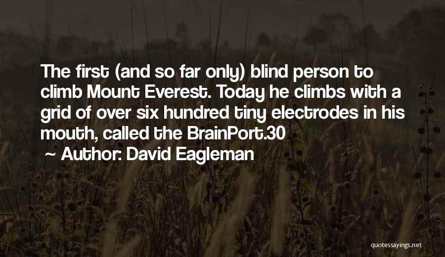 Mount Everest Quotes By David Eagleman