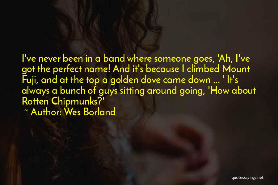 Mount Fuji Quotes By Wes Borland
