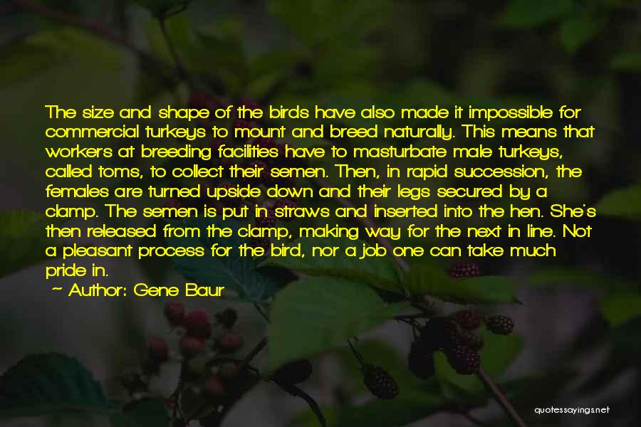 Mount Pleasant Quotes By Gene Baur Mount Pleasant Quotes By Gene Baur