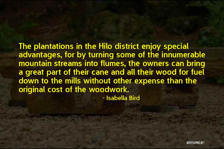 Mountain Bird Quotes By Isabella Bird Mountain Bird Quotes By Isabella Bird