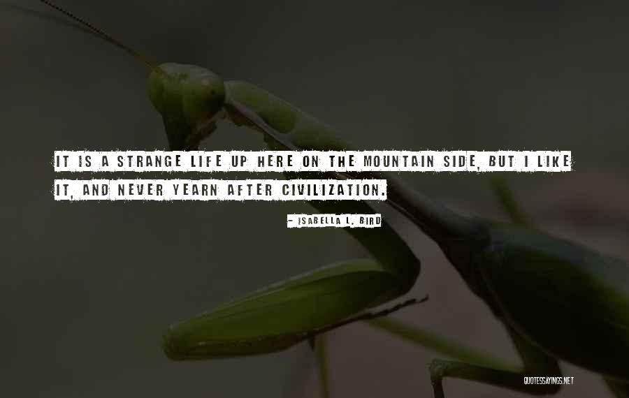Mountain Bird Quotes By Isabella L. Bird Mountain Bird Quotes By Isabella L. Bird
