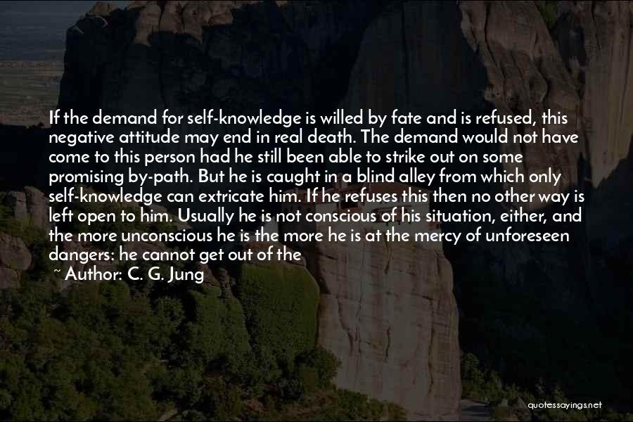 Mountain Climbing Quotes By C. G. Jung