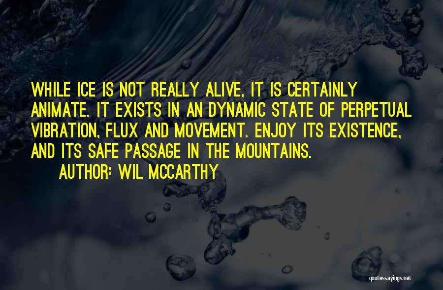 Mountain Climbing Quotes By Wil McCarthy