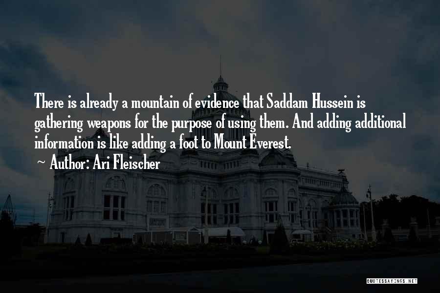 Mountain Everest Quotes By Ari Fleischer