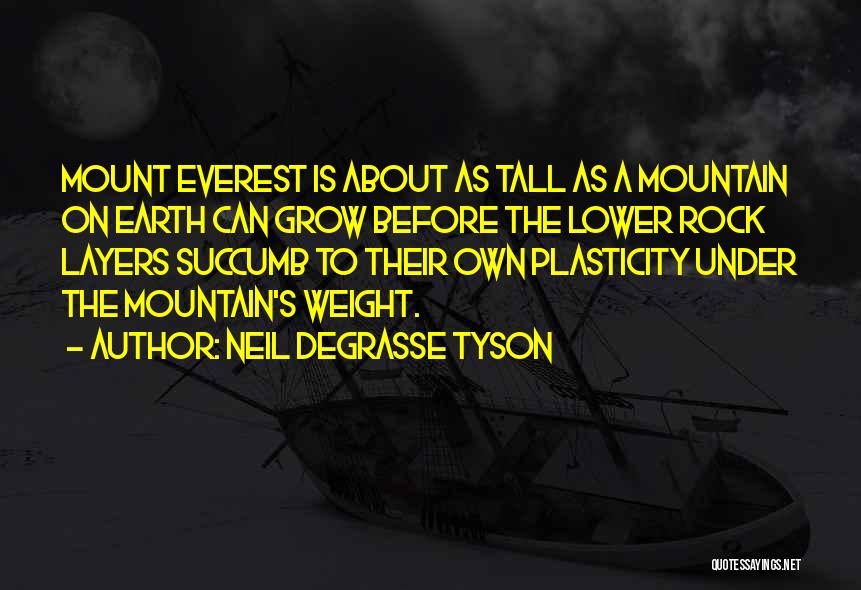Mountain Everest Quotes By Neil DeGrasse Tyson