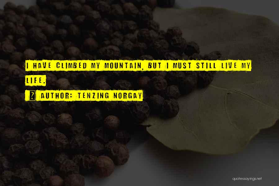 Mountain Everest Quotes By Tenzing Norgay