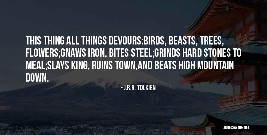 Mountain Flowers Quotes By J.R.R. Tolkien Mountain Flowers Quotes By J.R.R. Tolkien