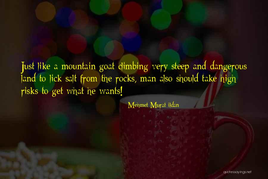 Mountain Goat Quotes By Mehmet Murat Ildan