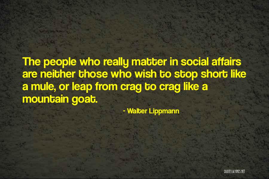 Mountain Goat Quotes By Walter Lippmann