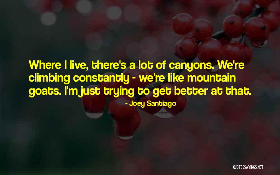 Mountain Goats Quotes By Joey Santiago