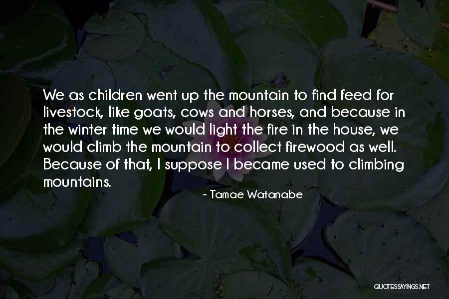 Mountain Goats Quotes By Tamae Watanabe