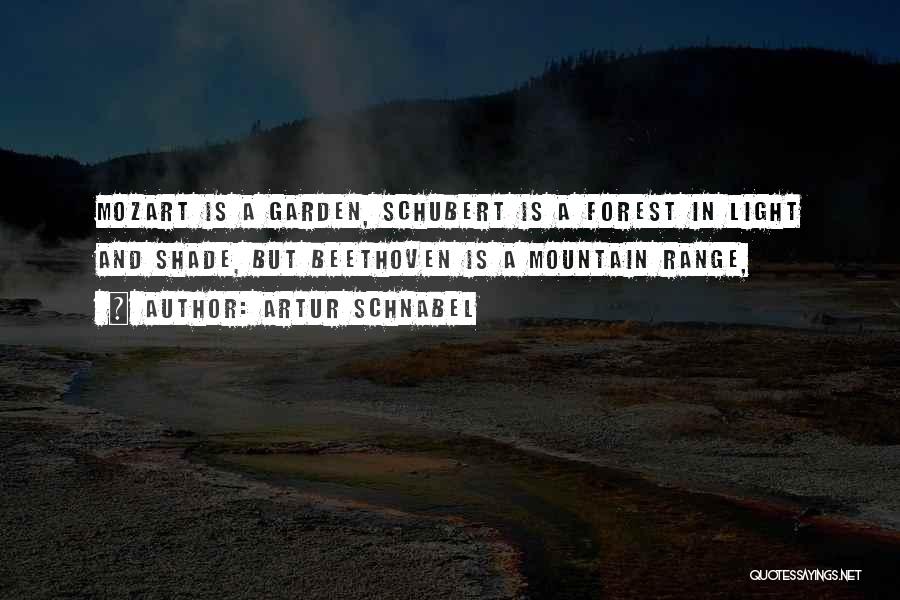 Mountain Ranges Quotes By Artur Schnabel