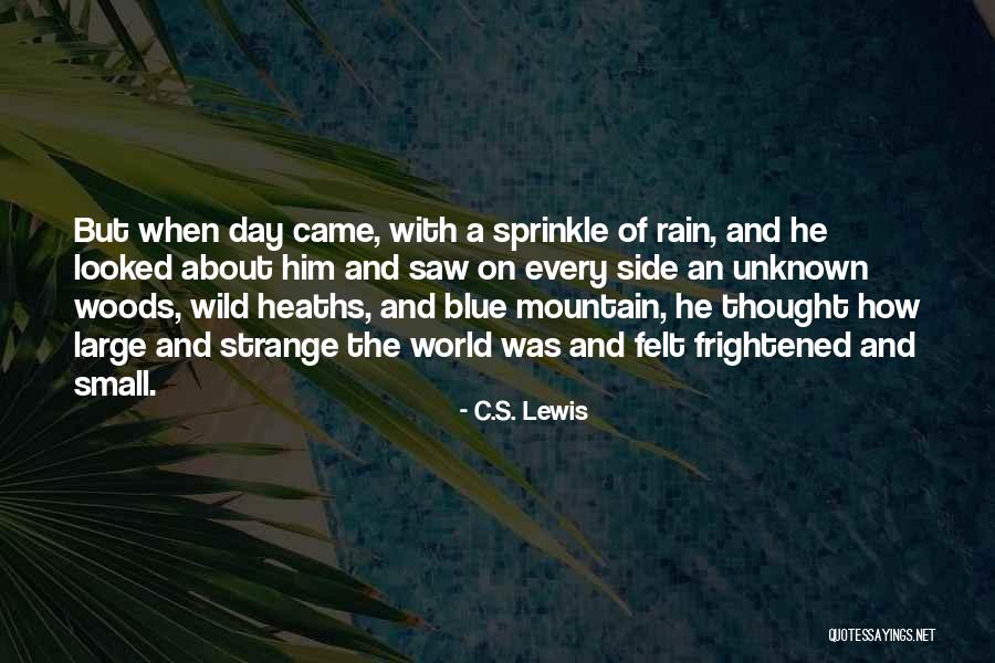 Mountain Small Quotes By C.S. Lewis Mountain Small Quotes By C.S. Lewis